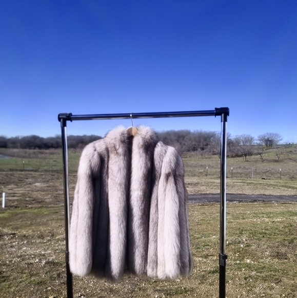 COPY - SAGA Fox M - Gorgeous! - Picture 15 of 17